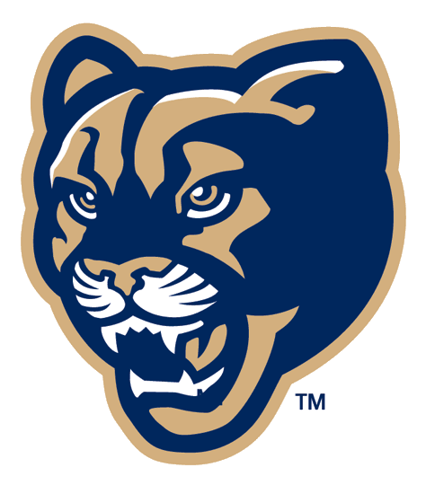 Brigham Young Cougars 1999-2004 Alternate Logo 03 Iron On Transfer